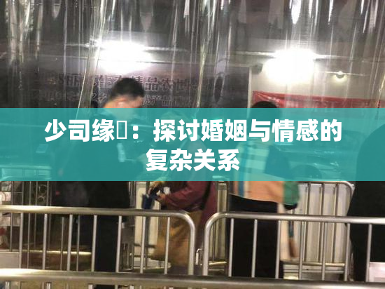 少司缘婬：探讨婚姻与情感的复杂关系