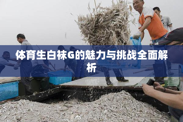 体育生白袜G的魅力与挑战全面解析