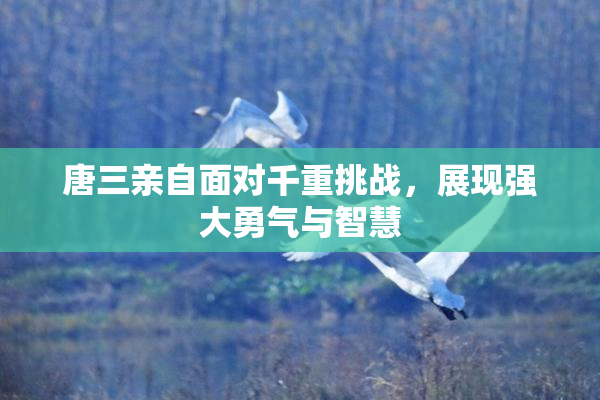 唐三亲自面对千重挑战，展现强大勇气与智慧