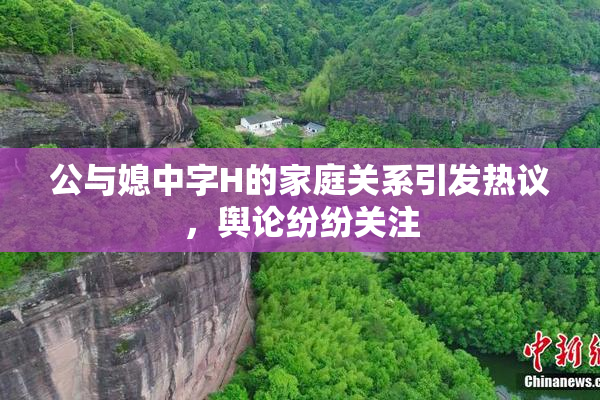 公与媳中字H的家庭关系引发热议，舆论纷纷关注