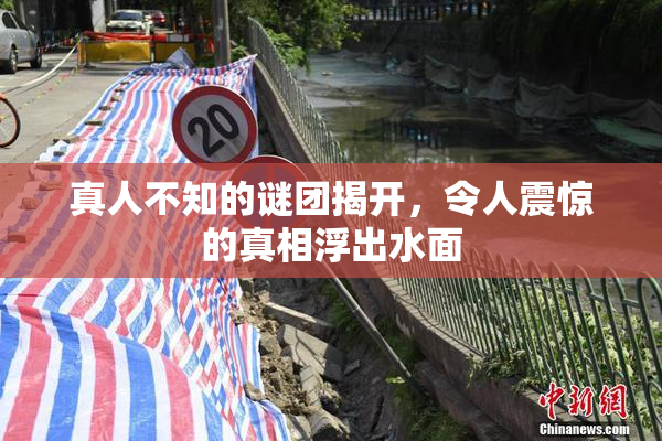 真人不知的谜团揭开，令人震惊的真相浮出水面