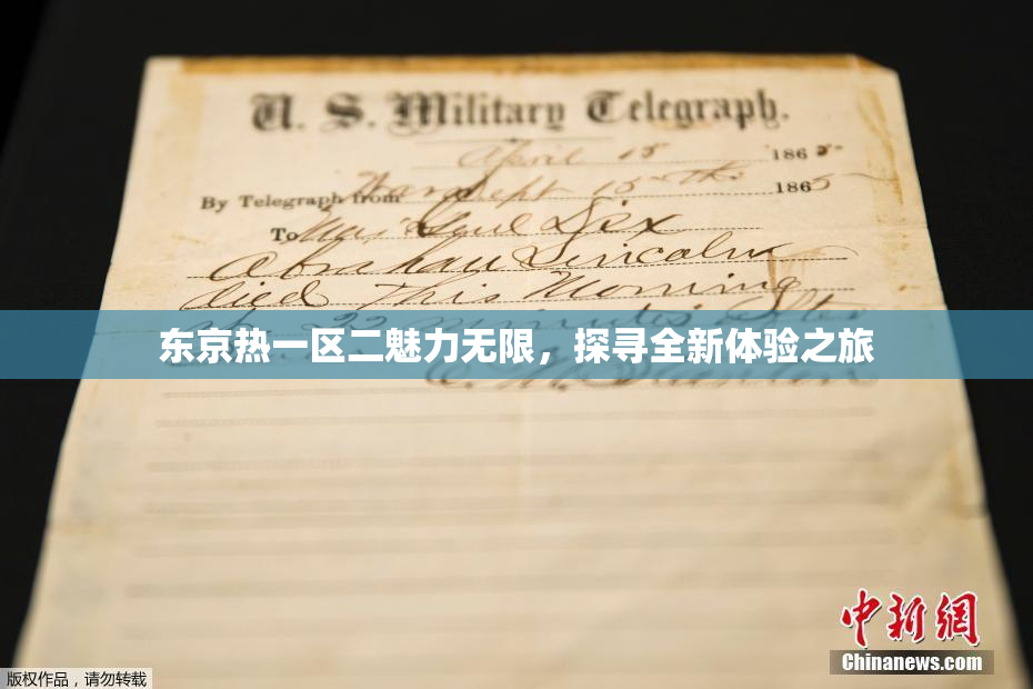 东京热一区二魅力无限，探寻全新体验之旅