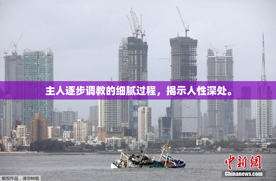 主人逐步调教的细腻过程，揭示人性深处。