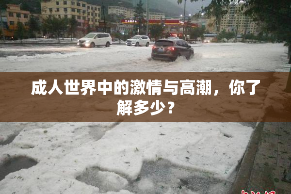 成人世界中的激情与高潮，你了解多少？