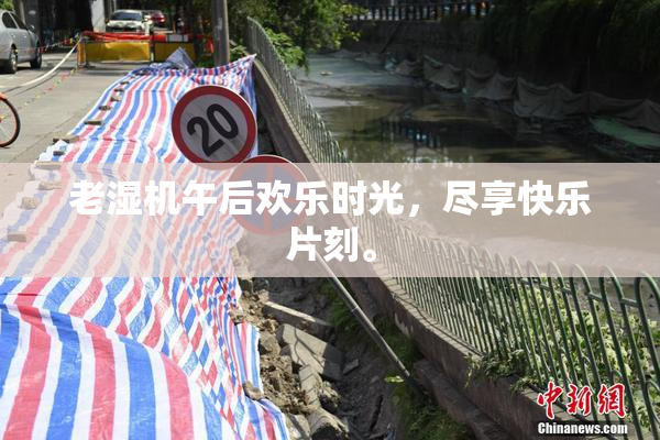 老湿机午后欢乐时光，尽享快乐片刻。