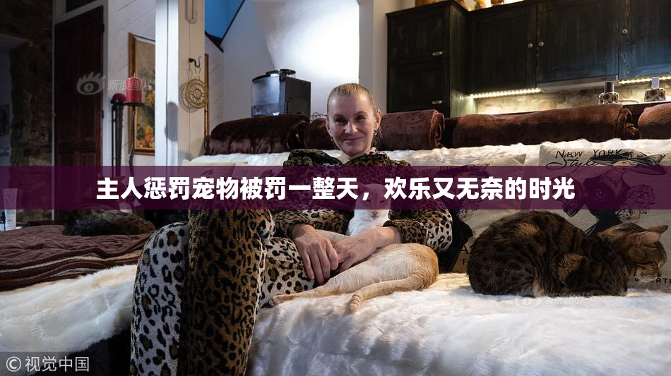 主人惩罚宠物被罚一整天，欢乐又无奈的时光