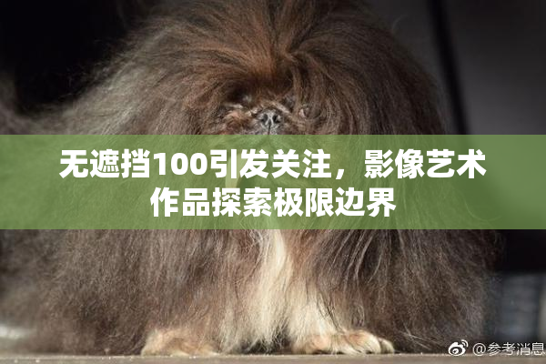 无遮挡100引发关注，影像艺术作品探索极限边界
