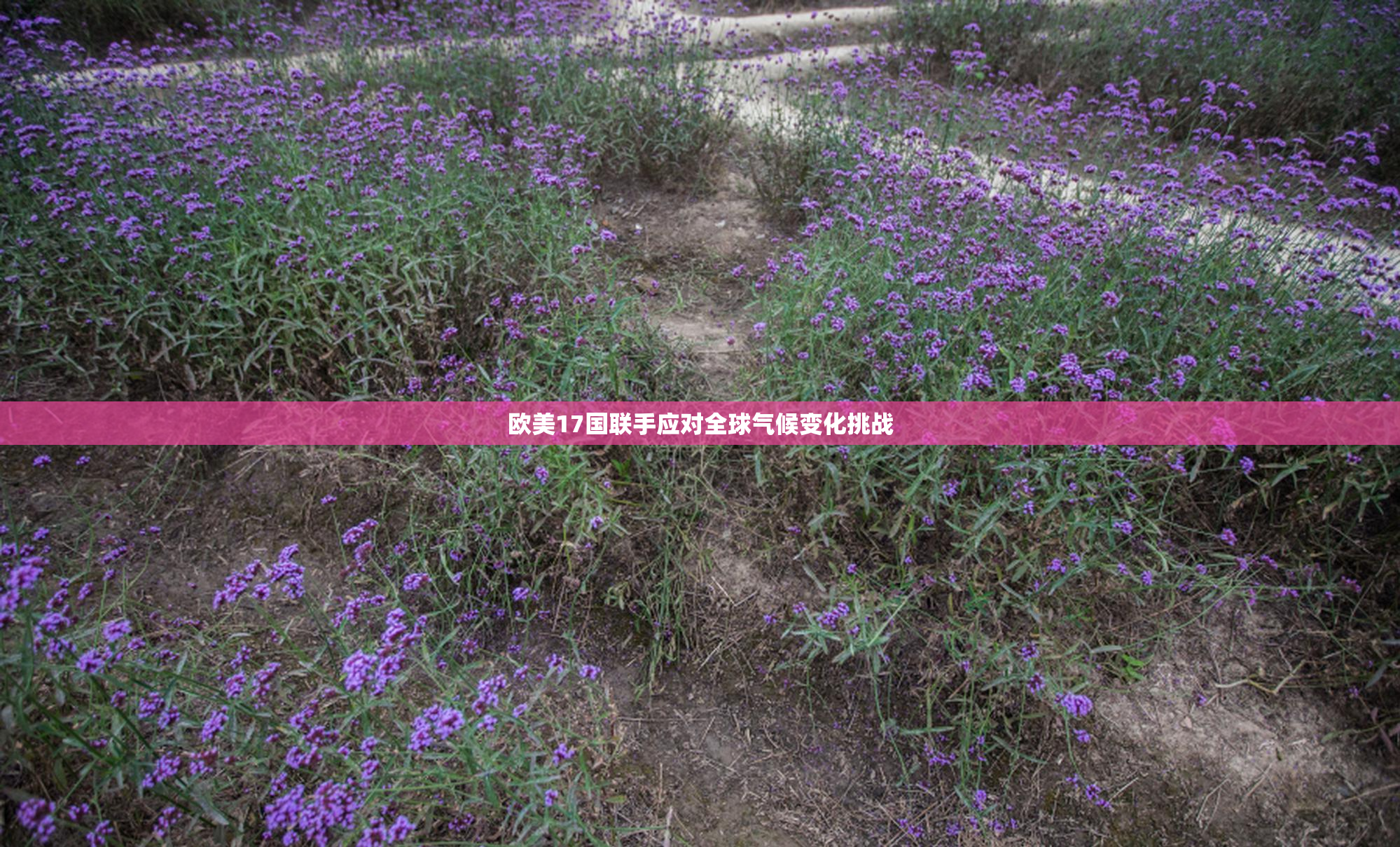 欧美17国联手应对全球气候变化挑战