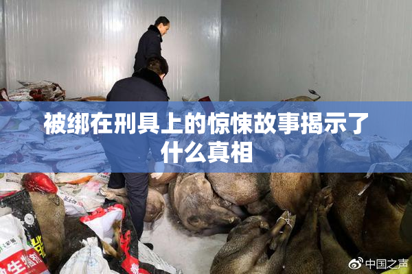 被绑在刑具上的惊悚故事揭示了什么真相