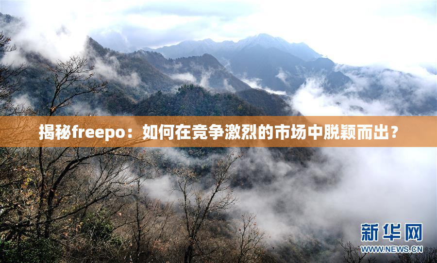 揭秘freepo：如何在竞争激烈的市场中脱颖而出？