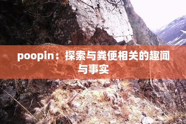 poopin：探索与粪便相关的趣闻与事实