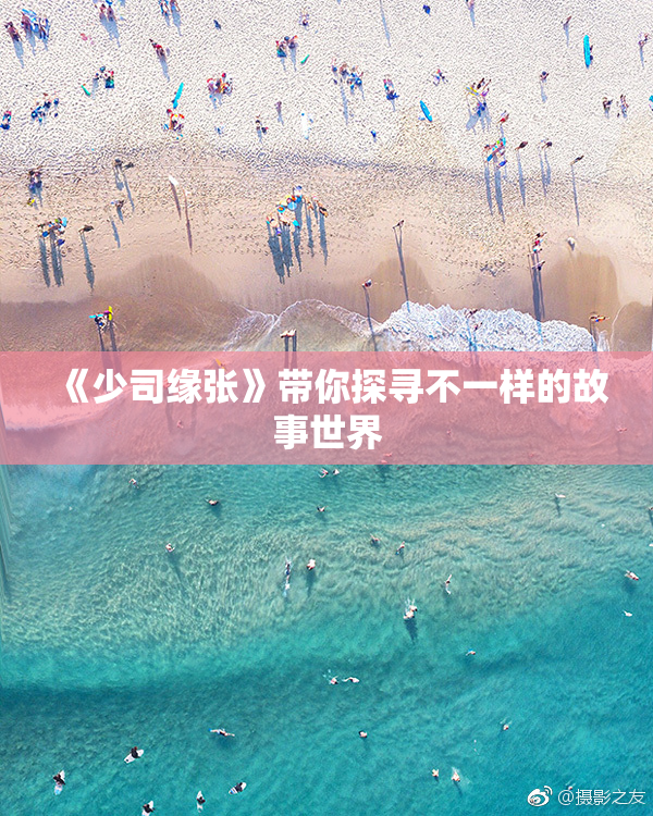 《少司缘张》带你探寻不一样的故事世界