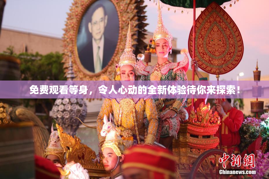 免费观看等身，令人心动的全新体验待你来探索！