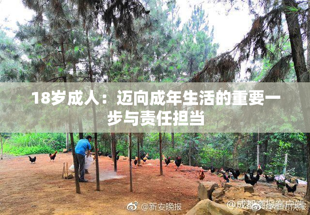 18岁成人：迈向成年生活的重要一步与责任担当
