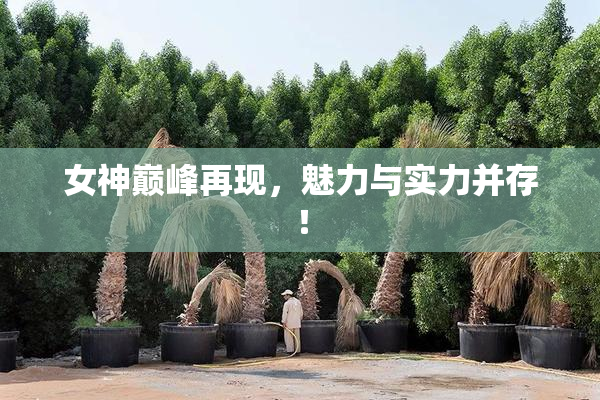 女神巅峰再现，魅力与实力并存！
