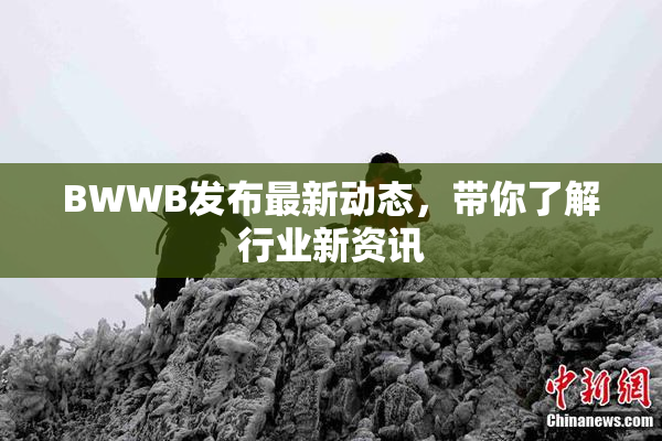 BWWB发布最新动态，带你了解行业新资讯