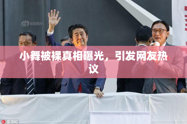 小舞被裸真相曝光，引发网友热议
