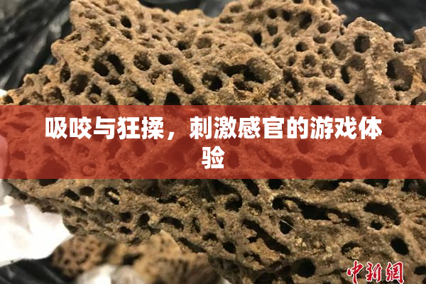 吸咬与狂揉，刺激感官的游戏体验