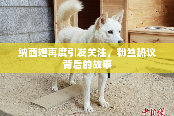 纳西妲再度引发关注，粉丝热议背后的故事