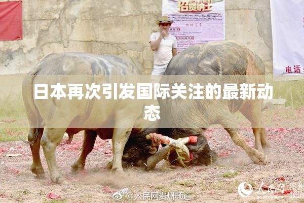 日本再次引发国际关注的最新动态