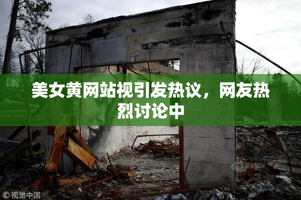 美女黄网站视引发热议，网友热烈讨论中