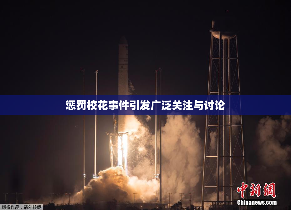 惩罚校花事件引发广泛关注与讨论