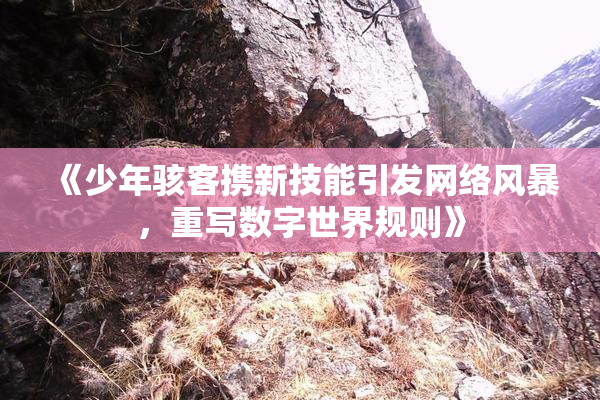 《少年骇客携新技能引发网络风暴，重写数字世界规则》