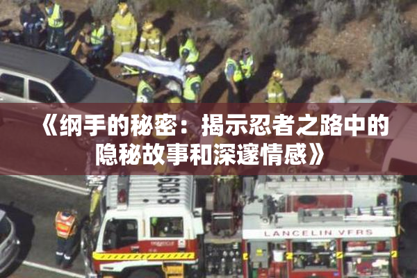 《纲手的秘密：揭示忍者之路中的隐秘故事和深邃情感》