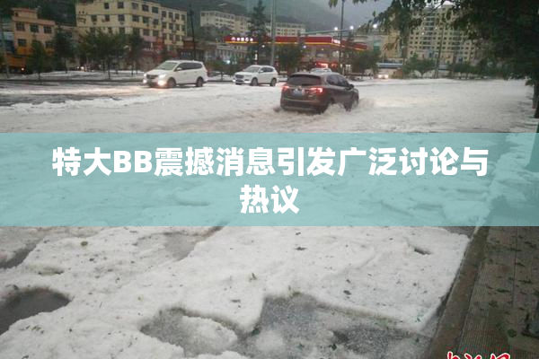特大BB震撼消息引发广泛讨论与热议