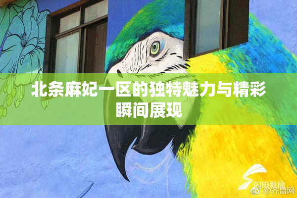 北条麻妃一区的独特魅力与精彩瞬间展现