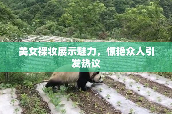 美女裸妆展示魅力，惊艳众人引发热议