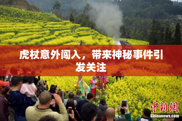 虎杖意外闯入，带来神秘事件引发关注