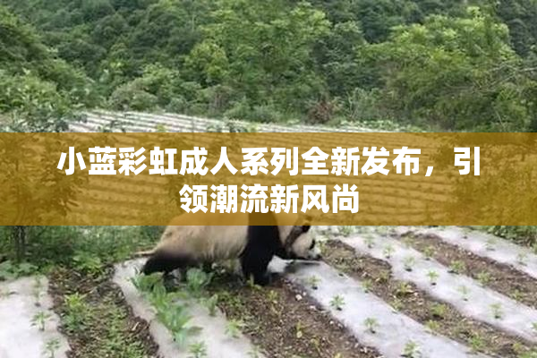 小蓝彩虹成人系列全新发布，引领潮流新风尚