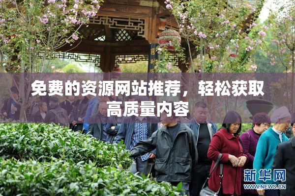 免费的资源网站推荐，轻松获取高质量内容