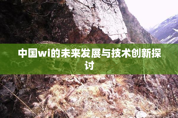 中国wi的未来发展与技术创新探讨