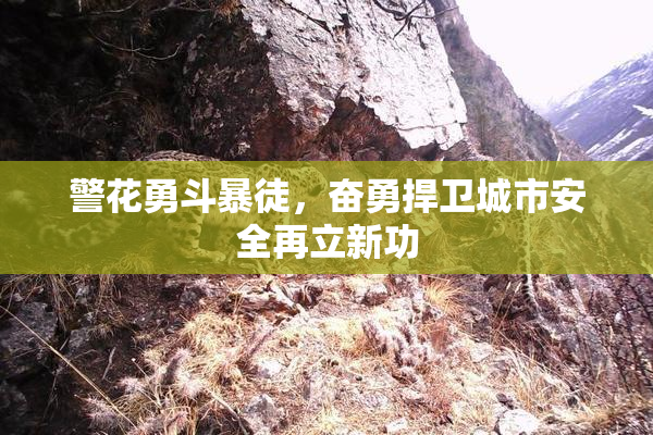 警花勇斗暴徒，奋勇捍卫城市安全再立新功