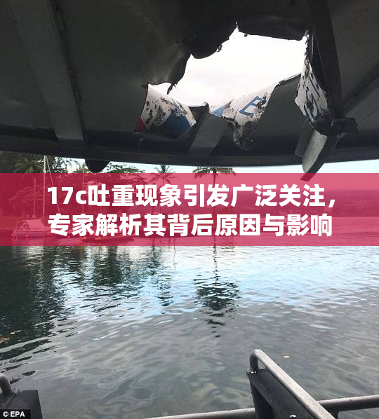 17c吐重现象引发广泛关注，专家解析其背后原因与影响