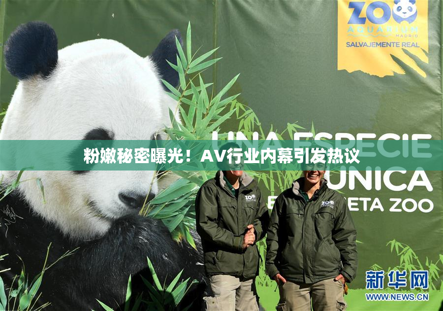 粉嫩秘密曝光！AV行业内幕引发热议
