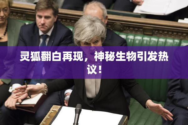 灵狐翻白再现，神秘生物引发热议！