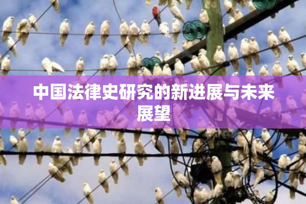 中国法律史研究的新进展与未来展望