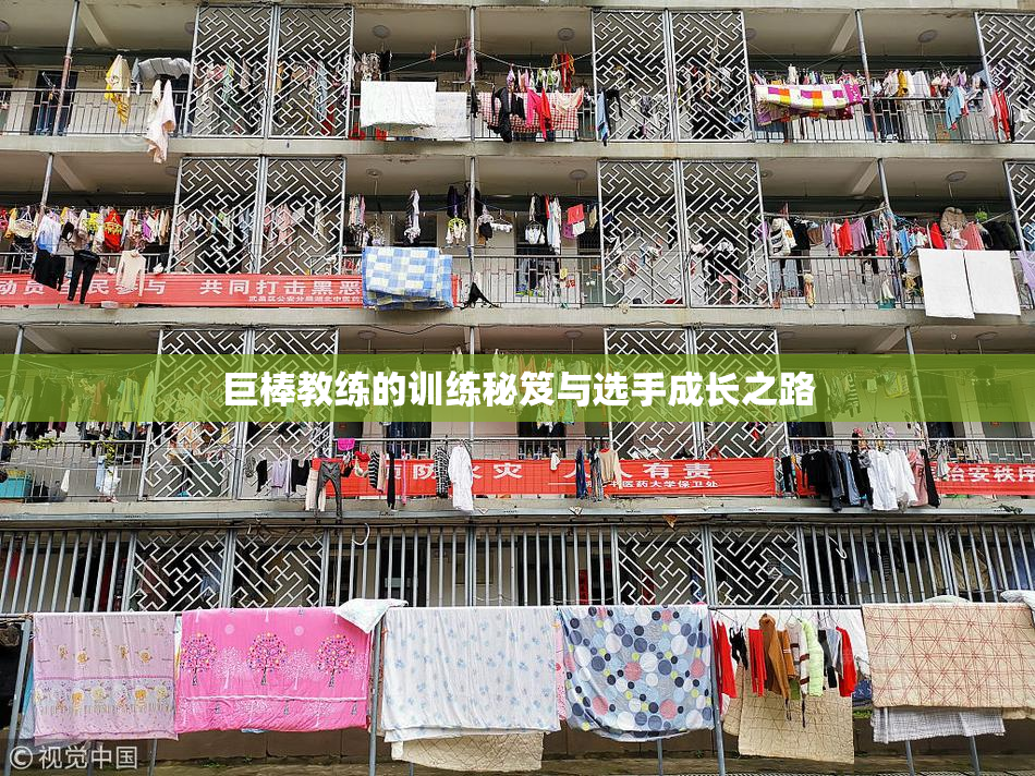 巨棒教练的训练秘笈与选手成长之路