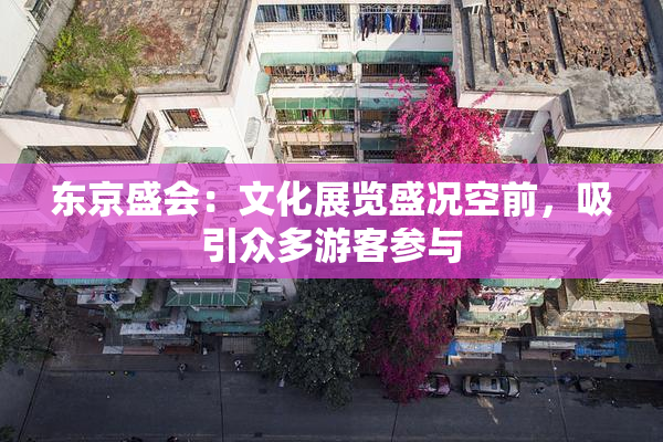 东京盛会：文化展览盛况空前，吸引众多游客参与