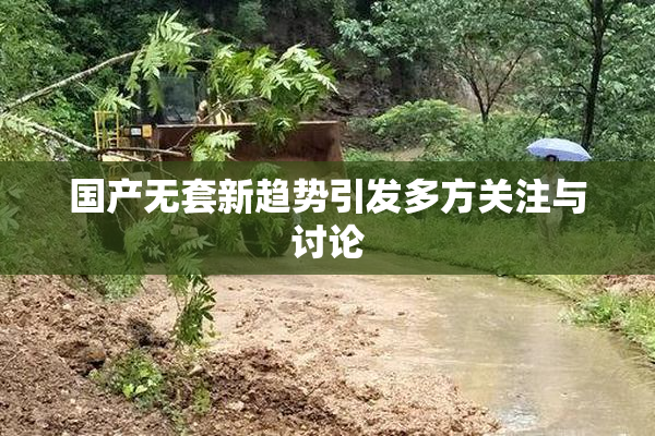 国产无套新趋势引发多方关注与讨论