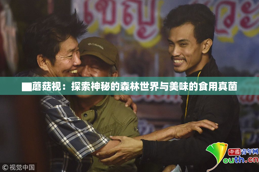 ▇蘑菇视：探索神秘的森林世界与美味的食用真菌