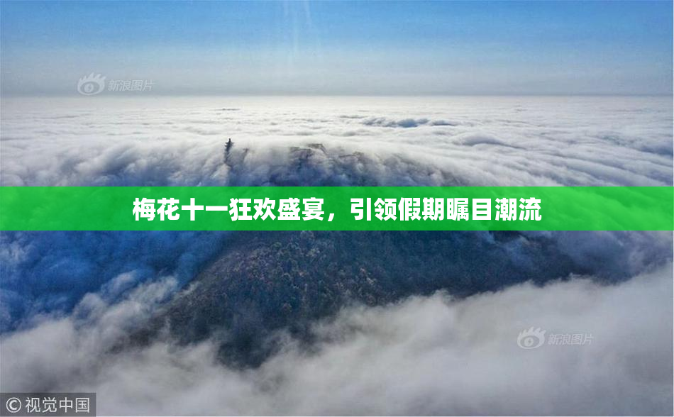 梅花十一狂欢盛宴，引领假期瞩目潮流
