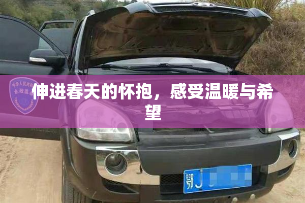 伸进春天的怀抱，感受温暖与希望