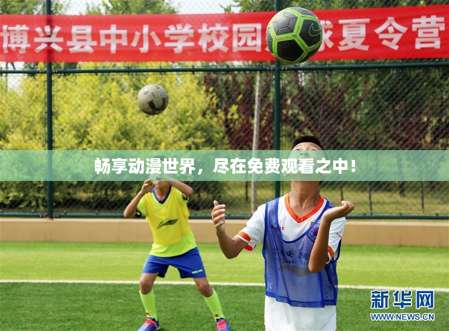 畅享动漫世界，尽在免费观看之中！