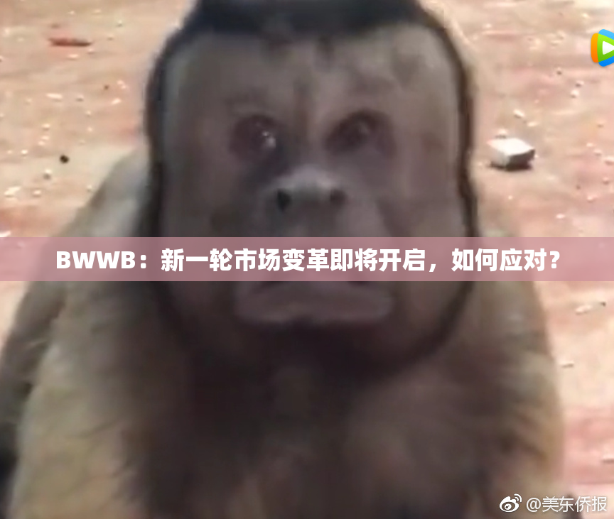 BWWB：新一轮市场变革即将开启，如何应对？