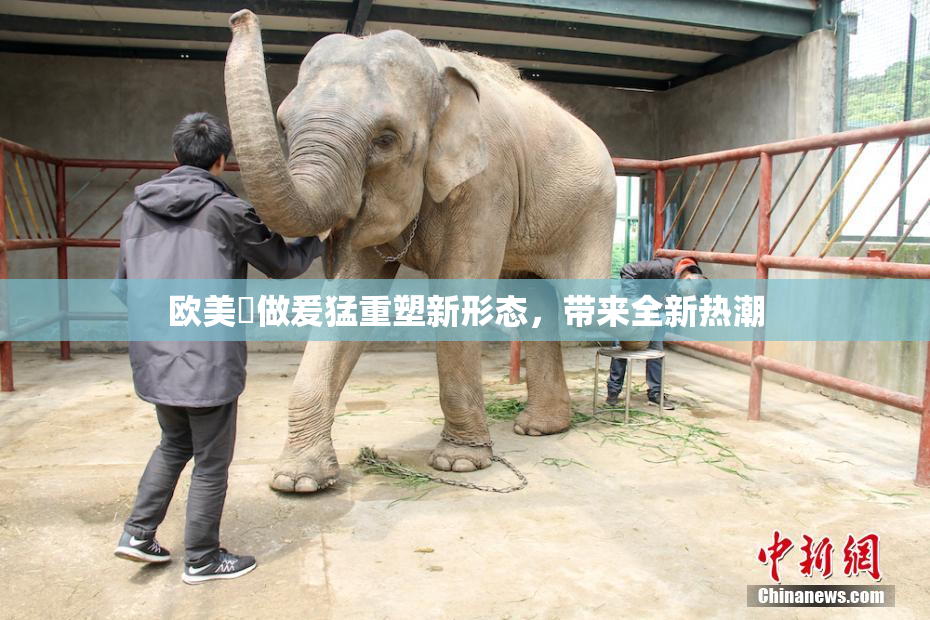 欧美巜做爰猛重塑新形态，带来全新热潮