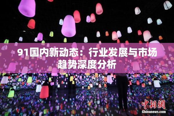 91国内新动态：行业发展与市场趋势深度分析